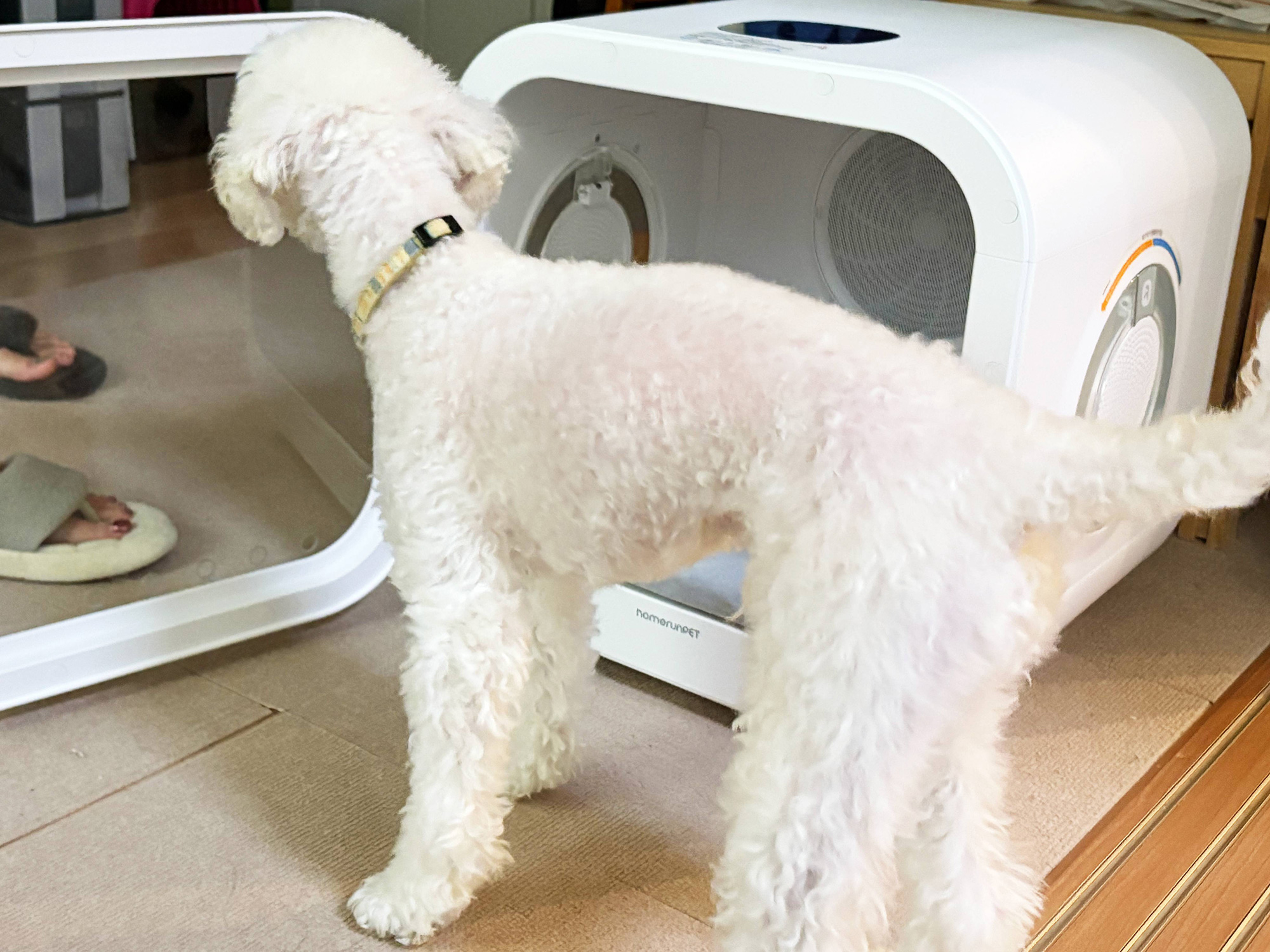 犬のドライヤーボックス「Drybo Plus」実機レビュー！使って分かった