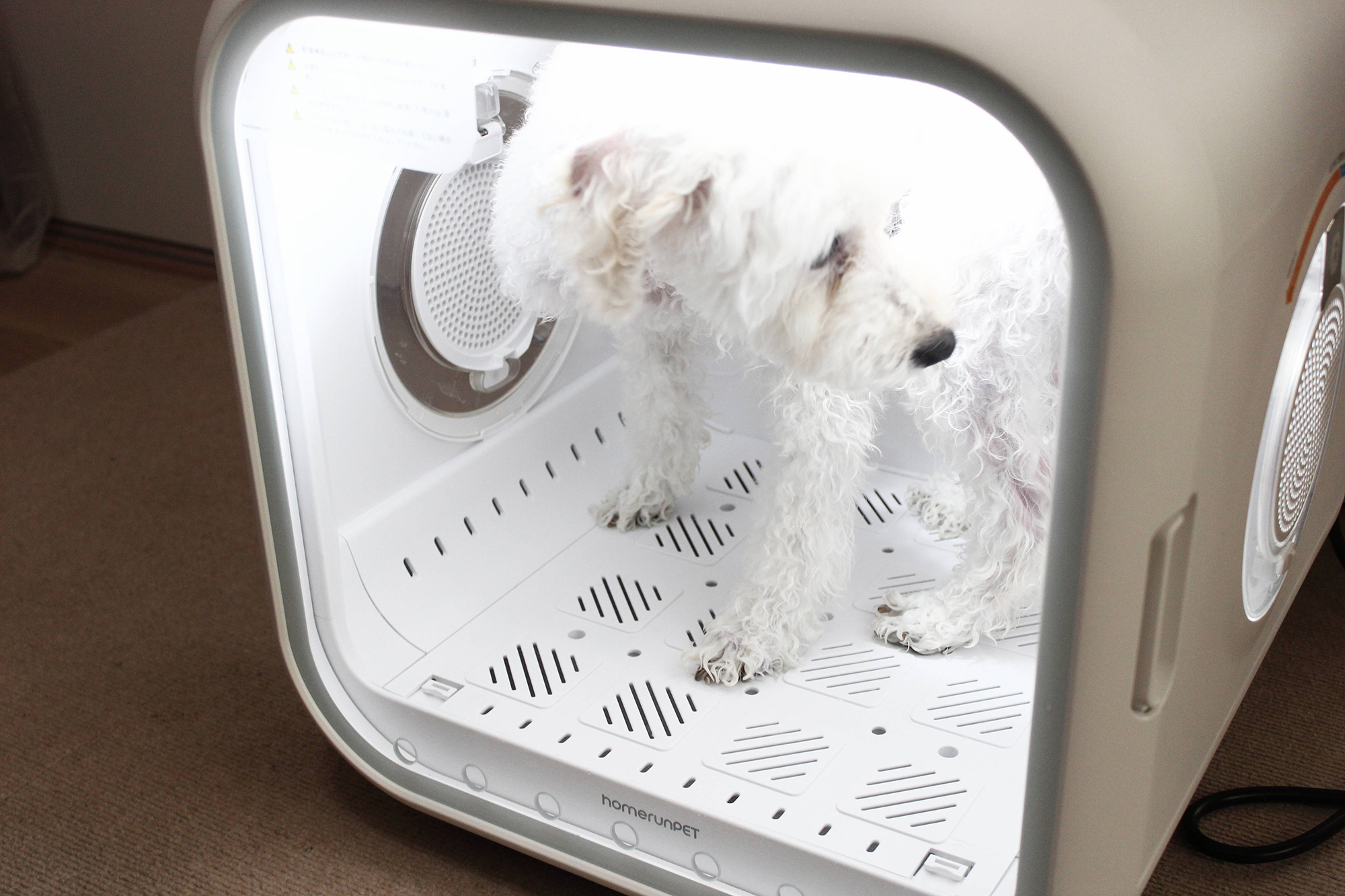 2025年版】ペット用ドライヤーボックス徹底ガイド｜Drybo Plus実機