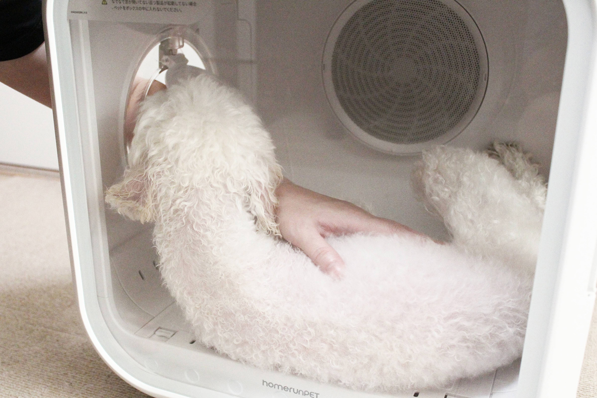 横の窓から撫でる様子