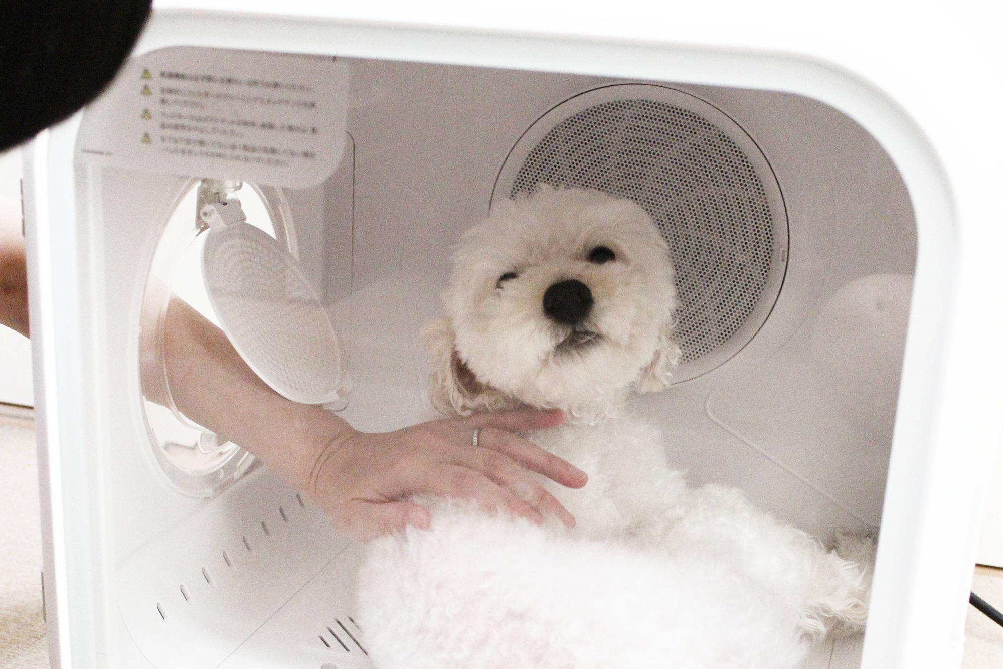 犬のドライヤーボックス「Drybo Plus」実機レビュー！使って分かった