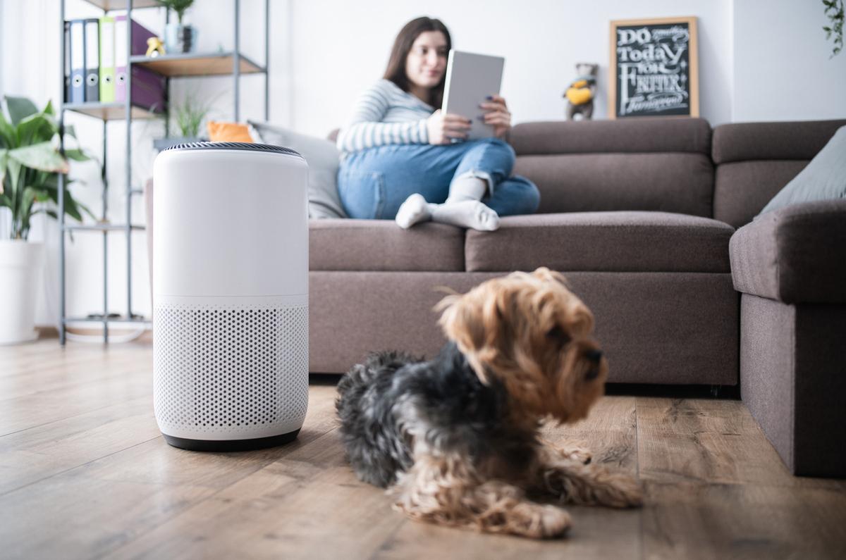 2025年版】ペットのニオイ・抜け毛対策に強い空気清浄機8選｜ kikito