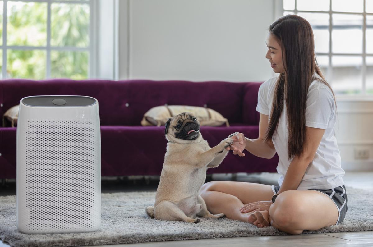 空気清浄機の隣でペットと遊ぶ女性のイメージ画像
